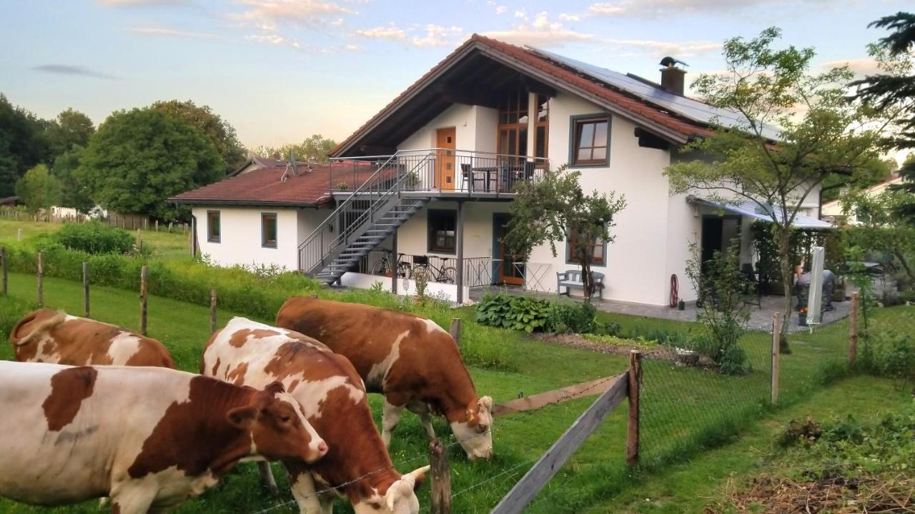 Appartement Exclusiv - Hinterreiter Ainring